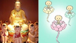 超度堕胎文，忏悔自己所犯下的罪孽