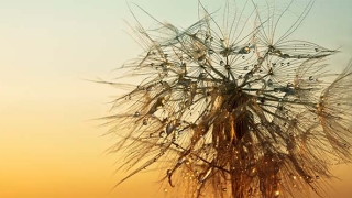 大悲咒还阴债,大师教你正确还阴债