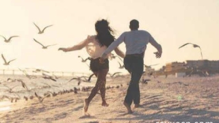 请夫妻和合符找专业道长才有效