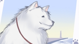 本命年如何转运 本命年改运方法须知