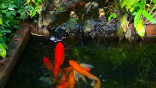 道家投胎的说法,帮助亡灵得到超度