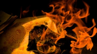 造成婴灵的产生，请一定去超度堕胎的寺庙