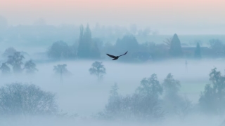 怎样化解人流后的霉运 这3种方法来解决