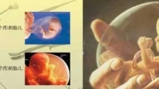 为什么要超度这些可怜的堕胎婴灵?