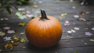 道长说了产房周围都是投胎的婴灵