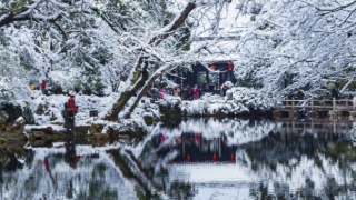 近期噩梦连连是什么意思,做噩梦应该是要如何化解