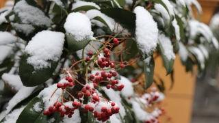 堕胎十几年婴灵怎么超度个人成功率低