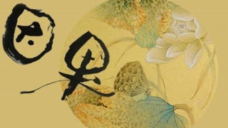 佛说堕胎的因果报应非常的厉害,需要化解才行