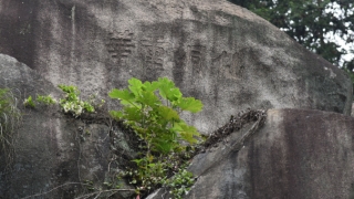 车祸投胎吗,意外死亡的亡灵需要渡亡帮助往生