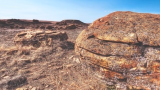 久病不愈会损耗气血吗,孩子久病不愈调解方法