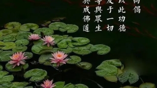 从堕胎的那一刻起,你的运势就开始下降