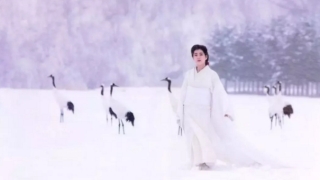 挽回前任使用和合术,什么时辰做和合法事