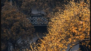 睡不着噩梦连连怎么办,噩梦的化解之法,让我们安眠