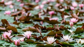 因果报应的关系,关系到我们的人生吉凶祸福