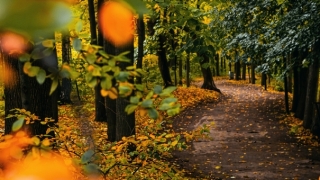 流产滑胎有什么症状,表现在这3大症状