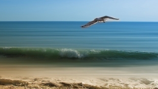 想要快速化解婴灵的报复,要写堕胎婴灵的忏悔文