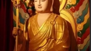 超度过后打掉的孩子又来投胎了