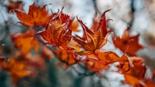 为什么离婚后财运差 相应的解决方法