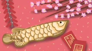 哪几种风水摆件可以招桃花 招桃花的植物