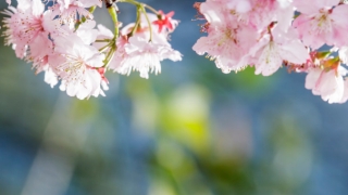 人到中年之后事业不顺,分享可以增加事业运势的方法