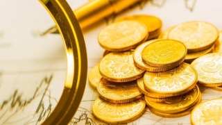 明年属猪元月份的财运好不好 为你指点求职方向