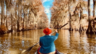 转自倾莲池  如何超度亡亲和堕胎孩子？他诵此经将树神超度到普陀山净土，成为观世音菩萨的眷属