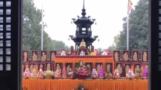 水晶辟邪的效果很好,大家可以请水晶回来辟邪