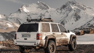 财运低迷咋办 这5种植物让你旺起来