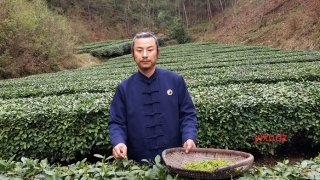 道教爱情和合符的请符要求以及作用