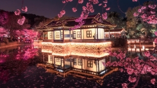 甲山庚向风水布局,八运风水庚山甲向的房子如何布局