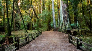 引产后睡觉噩梦连连,可能是因为有婴灵在纠缠所导致