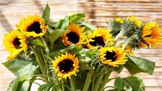 脱单的咒语操作方法分享 帮你尽快脱单的方法