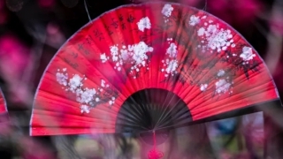 化解婴灵表文,道教化解送走婴灵的科仪流程