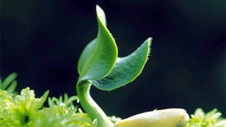 真实案例分享!灵婴超度后运气好转