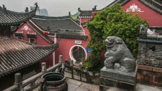 长寿经化解婴灵所需要注意的事项