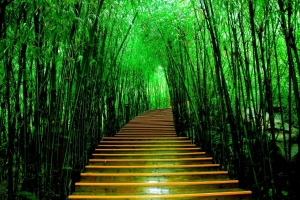 打过胎必须得还阴债吗 /还阴债补财库的基本给烧多少