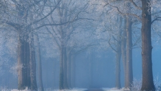 不小心滑胎需要渡亡吗,不渡亡会对我们产生的影响,如何进行渡亡