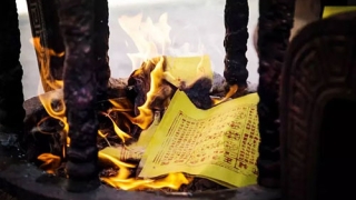 女人脸上福气痣含义 解读面相学中的福气象征