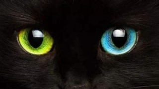 为什么要超度婴灵被缠身后的表现