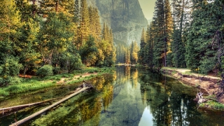 八字,算命,命中是否有财库,怎么确认你的财库?