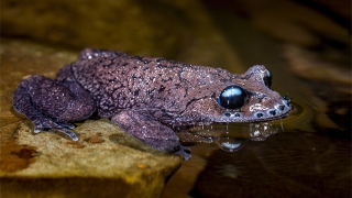中年因情而事业受阻，风水秘方帮你转运