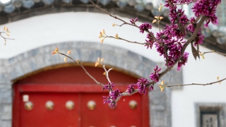 民间常用的道教化太岁方法分享给大家