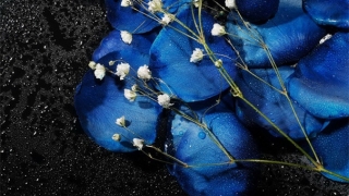 婴儿看到脏东西的表现,家长们赶紧注意了