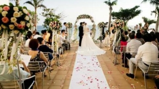 女生养哪些植物容易招桃花呢？