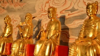 财运不好怎么办，这些都是快速化解财运的方法