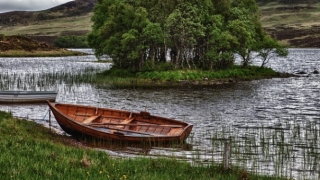 开财补财库,都有哪些方法,主要起什么作用,一起来看一下