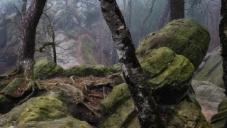 近期噩梦连连是因为什么所导致,来看如何摆脱噩梦了