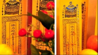 道教如何看待堕胎为什么有怨念