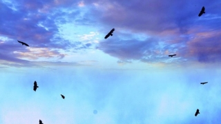 如何超度堕胎婴灵，大师在线教你如何做