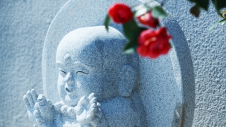 3个月内人流不算杀生,专业的佛教知识给你解答